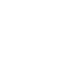 target icon